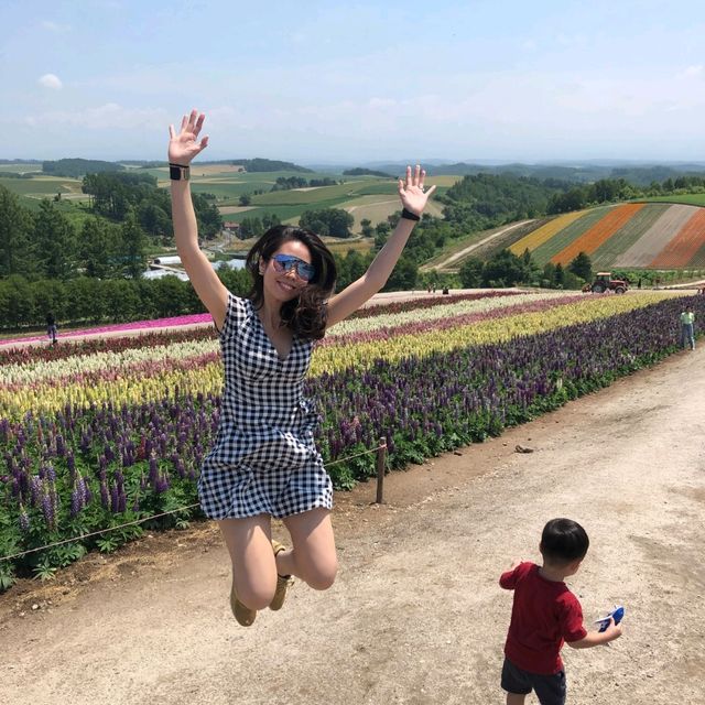 Flowers In Full Bloom In Hokkaido 🌸🌼🌷🌹