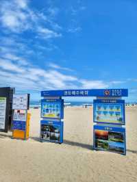 동해안 최대 해변은 바로 여기! 경포해변🏖