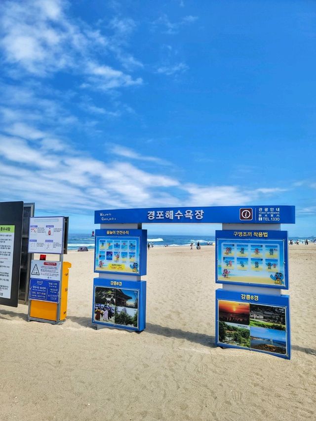 동해안 최대 해변은 바로 여기! 경포해변🏖