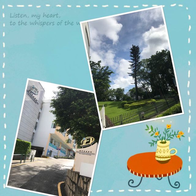 望廈山園林⛰️觀景