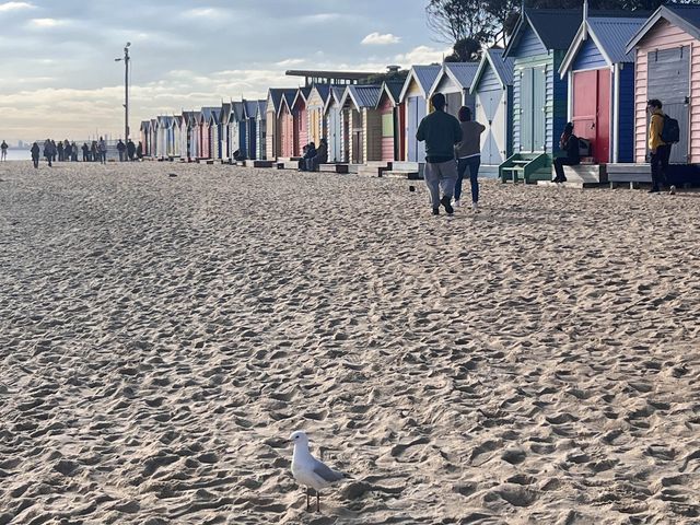 Melbourne’s Iconic Colorful Bathing Boxes 