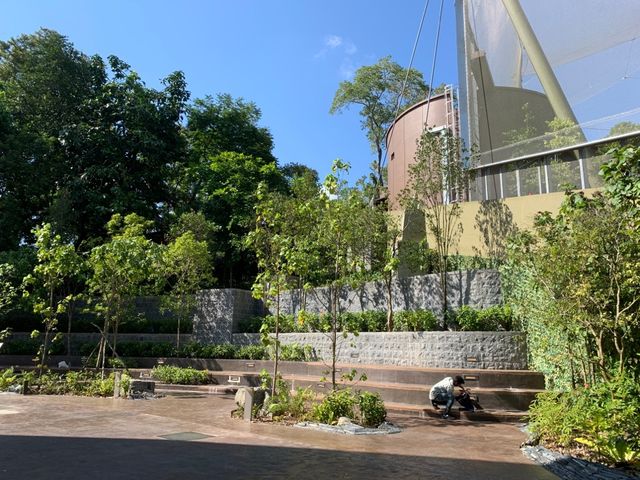 Entrance of Bird Paradise 🦜