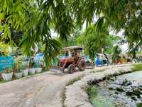 Café and Farm วิวดี ติดธรรมชาติ 