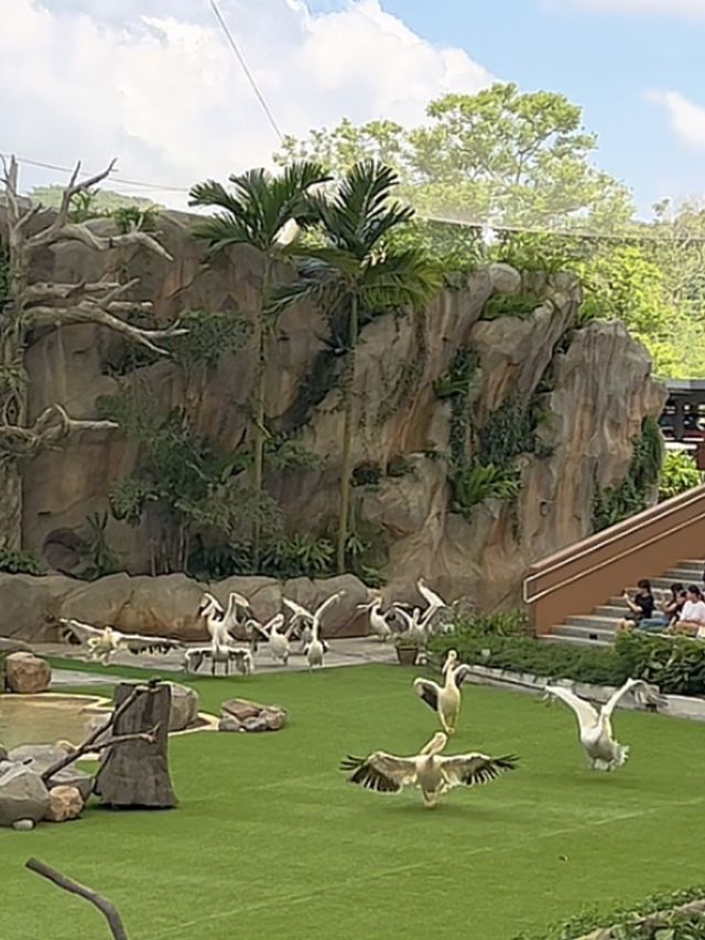 Asia’s Largest Birdpark 🐧