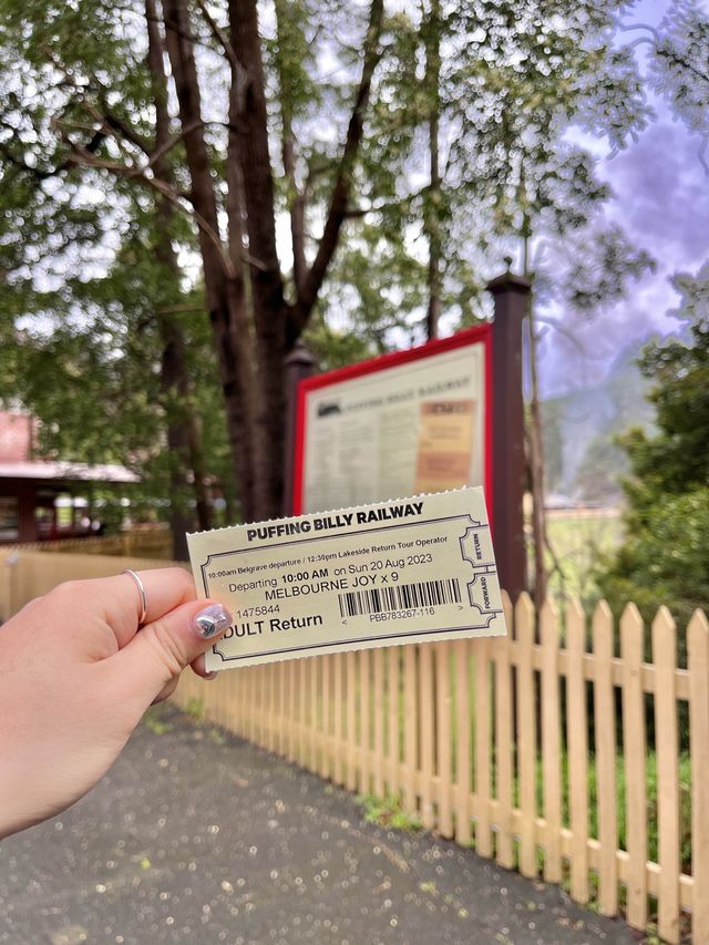 호그와트행 증기 기관차? 호주 퍼핑빌리🚂