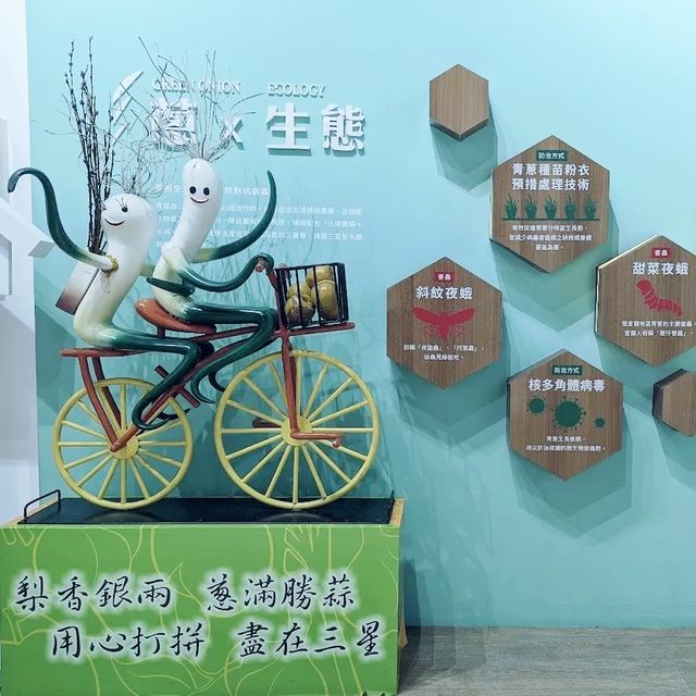宜蘭名產三星蔥