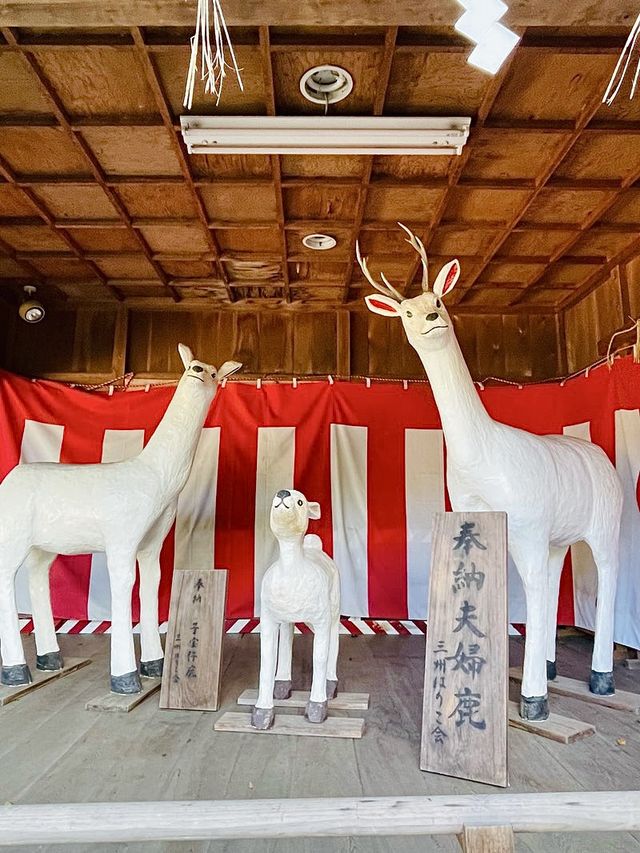 【愛知県/砥鹿神社】可愛い鹿のファミリーがいる神社