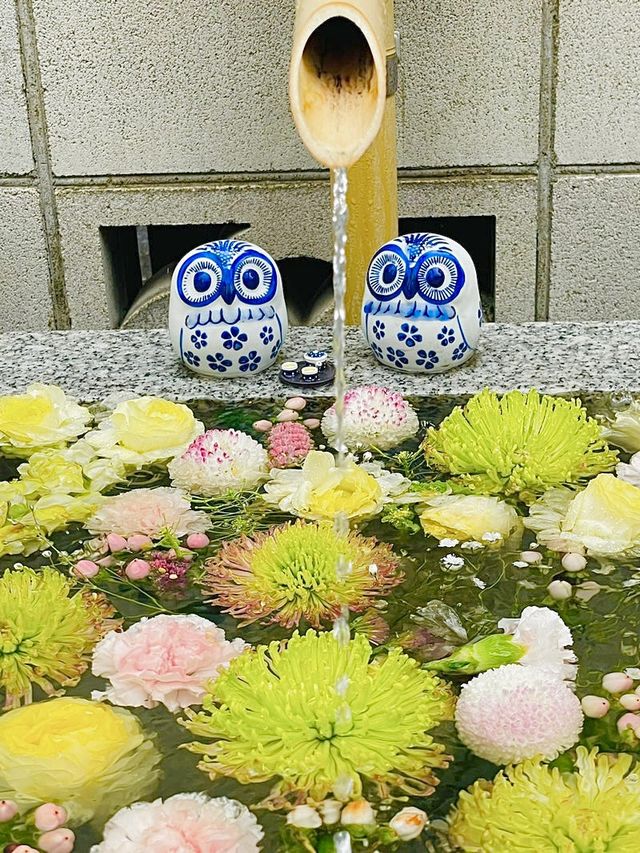 【東京都/小石川大神宮】東京にある伊勢神宮の遥宮