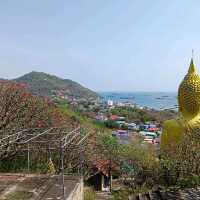 ทริป 3 วัน 2 คืน @เกาะสีชัง