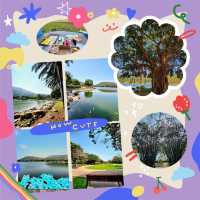 廸欣湖：湖畔🏞️+野餐🧺，天然寧靜中享受美食和放鬆😌🍽️！