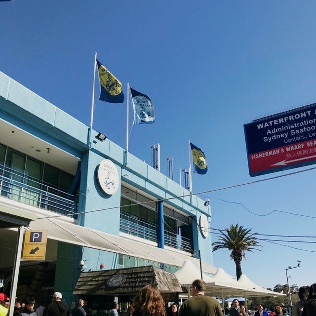 Sydney's Seafood Paradise