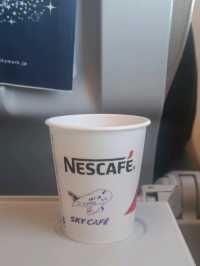 スカイマークで国内旅行