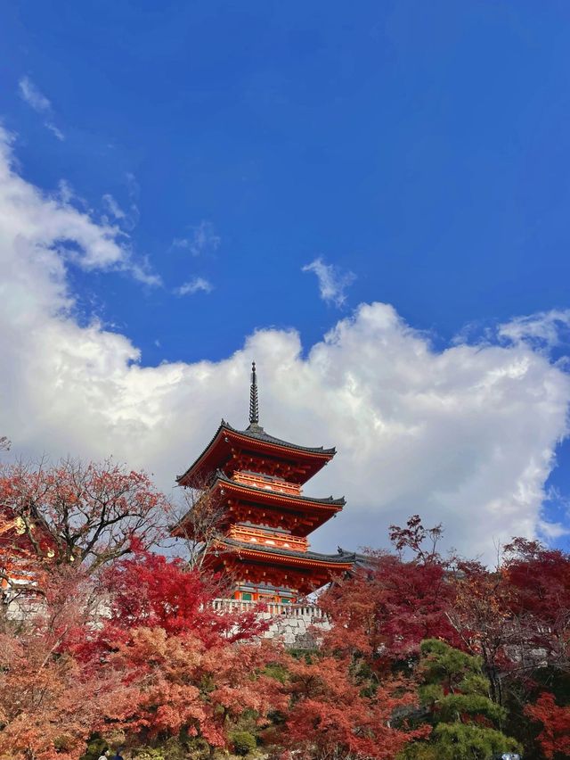 교토 가볼만 한 곳 1순위, 기요미즈데라 (청수사)🍁