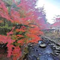 autumn vibes at Shuzenji Temple