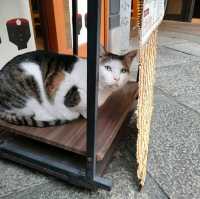 【大阪 法善寺】昔懐かしいぜんざいの味✨