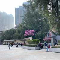 仁愛廣場及仁愛堂