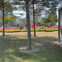金鐘❤️添馬公園