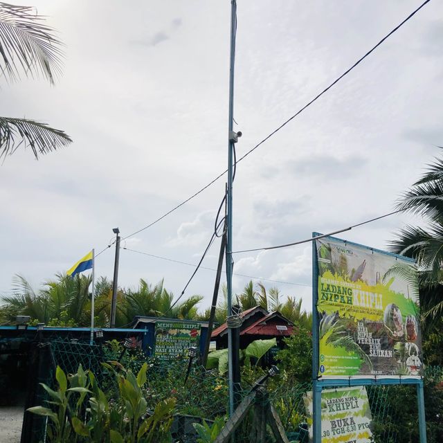 LADANG NIPAH KIPLI, Sanglang Perlis