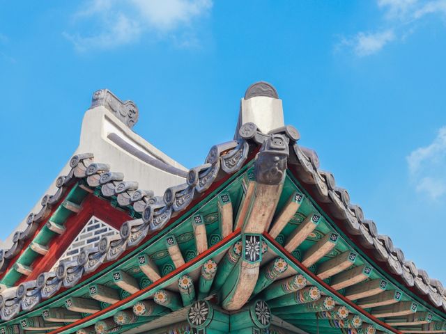 🇰🇷 언제가도 멋스러운 수원 “수원화성”