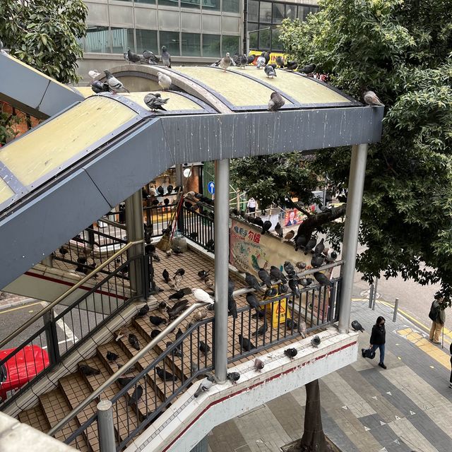 中環必去打卡點— 大館