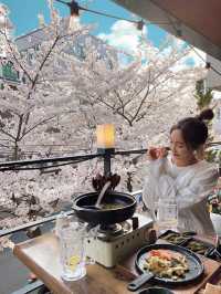 🌸벚꽃을 코앞에서 볼 수 있는 이자카야 합정 공감🌸