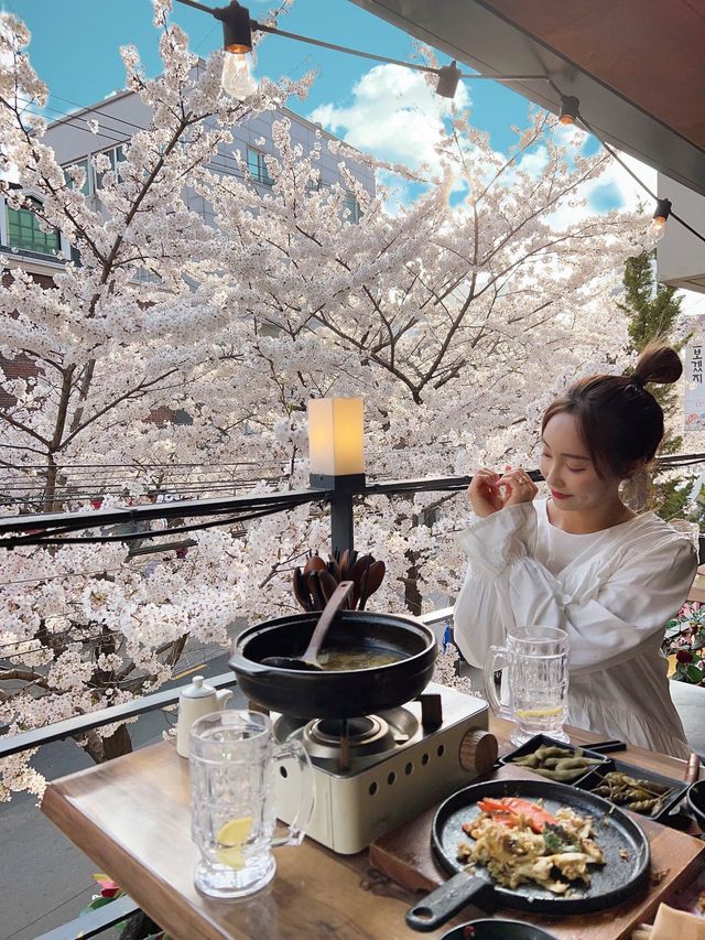 🌸벚꽃을 코앞에서 볼 수 있는 이자카야 합정 공감🌸