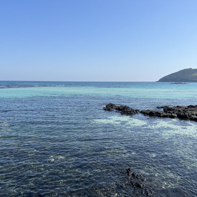 에메랄드빛 바닷물이 너무 맑은 해수욕장🌊