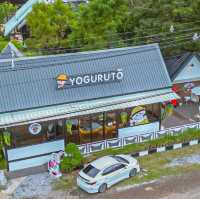 คาเฟ่เปิดใหม่ สีคิ้ว-โคราช
S95 Cafe