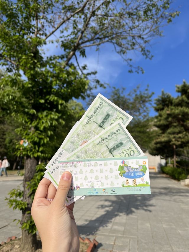 인생샷 절로 나오는 포천 아트밸리⛰️💚