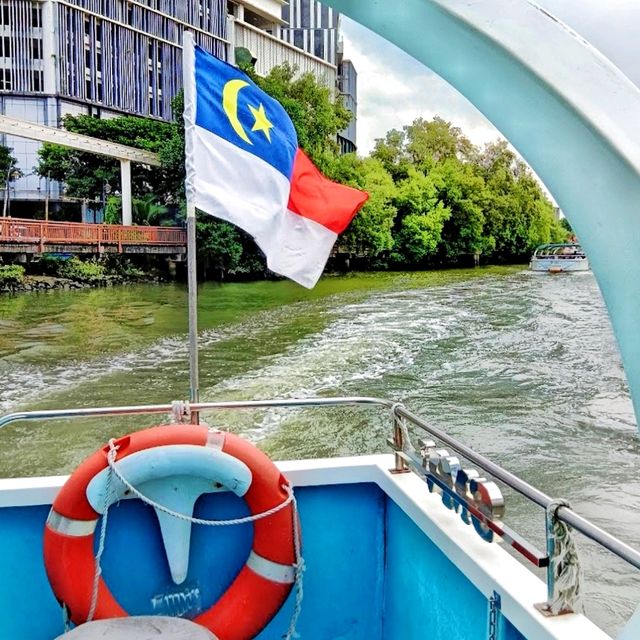 The fascinating river cruise! 🌊🚢