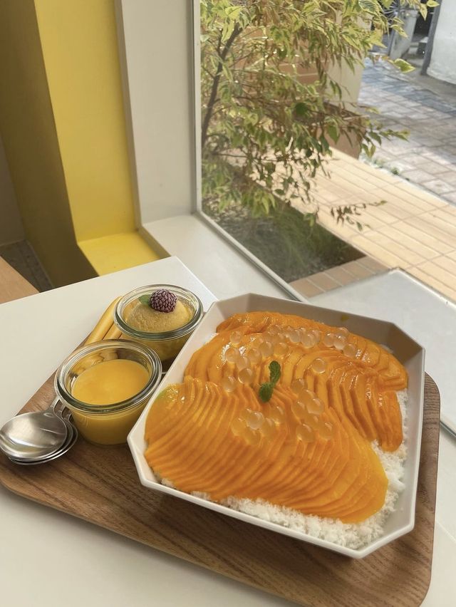 수원 행궁동 핫플 맛집,카페 추천🍽️