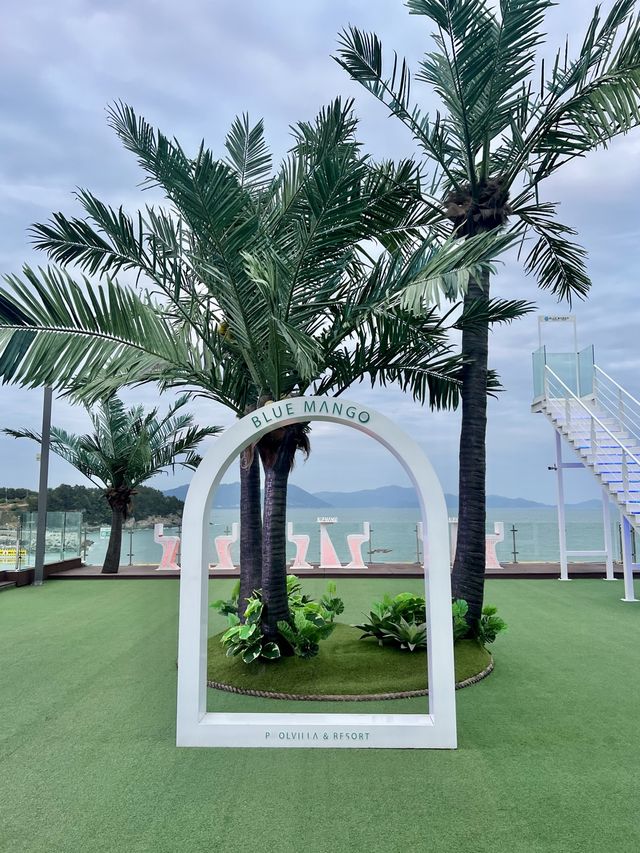 사계절 내내 여수바다를 보며 인피니티풀장에서 헤엄칠 수 있는 곳🏊🩵