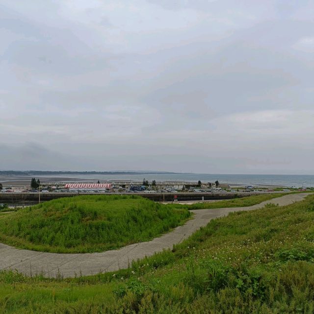 望海步道草地區