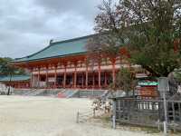 京都　京都観光　2023年平安神宮の桜！