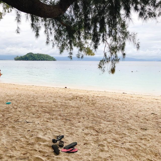 馬來西亞🇲🇾沙巴馬努干島🏝️島上野生動物🦎巨大蜥蜴🦎