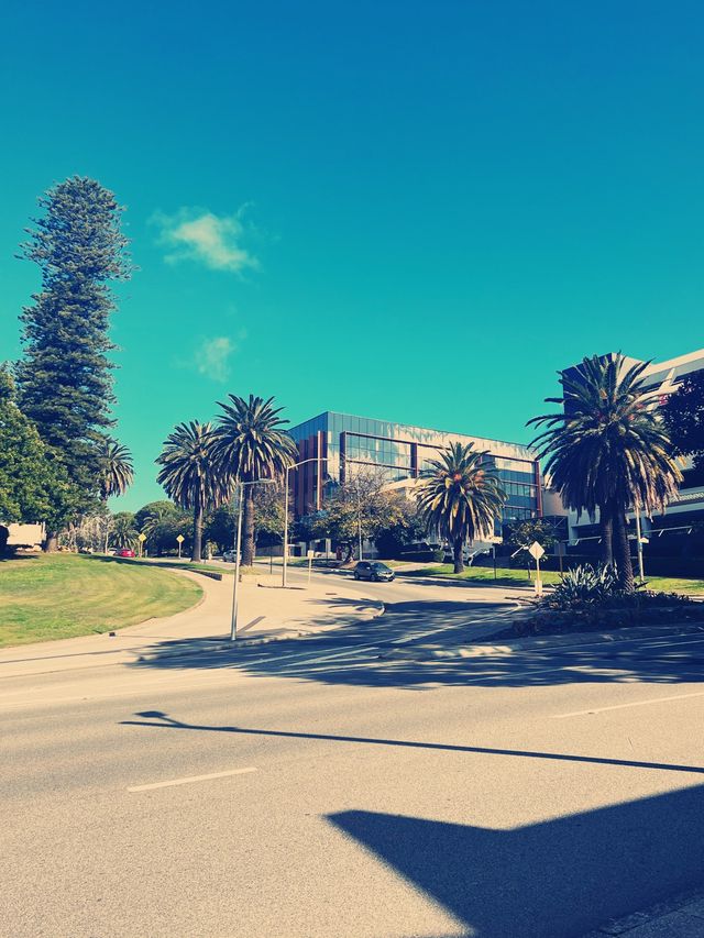 Perth Streets 😎🤩 Hey, It's Hay Street 😁🤭