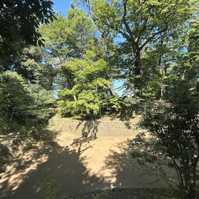 世田谷城址公園 世田谷城址公園