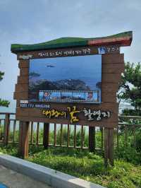 아름다운 바다위 그림같은 경주 양남 주상절리🪨🌊