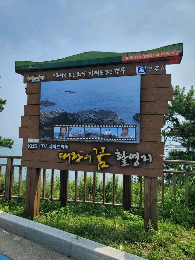 아름다운 바다위 그림같은 경주 양남 주상절리🪨🌊