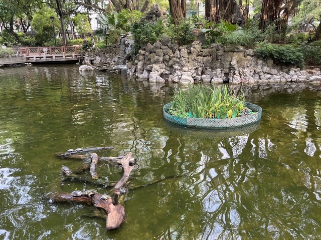 原來荃灣有個咁靚咁似香港嘅公園 🤩