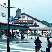 「日光市遊記：東照宮，中禪寺湖和湯波豆腐美食」
