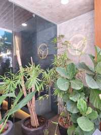 🌱 Plant A Seed: Best Vegan Restaurant!