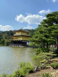 【京都観光】世界遺産🇯🇵金閣寺