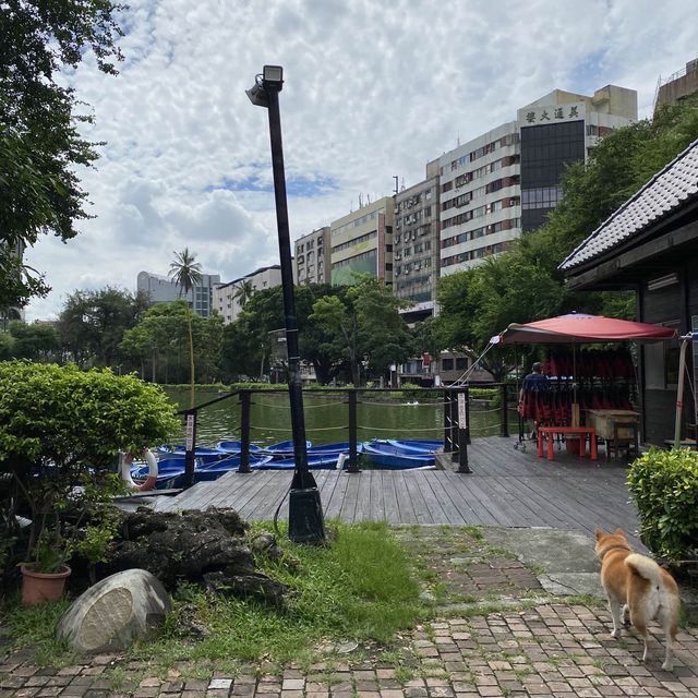 台中公園🐕