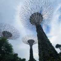 新加坡濱海灣花園壯觀Super Tree