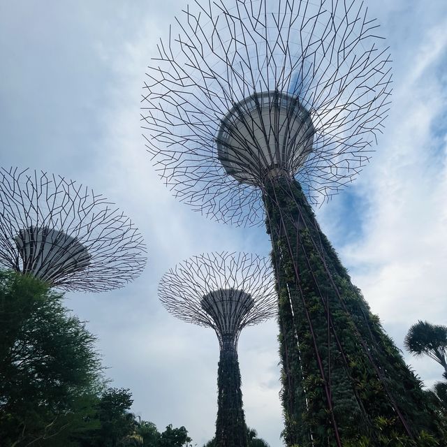新加坡濱海灣花園壯觀Super Tree