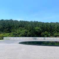 숲에서 목욕하는 기분, 부산 기장바다위에 떠있는 듯한 로비, 부산 기장 힐튼호텔🌊