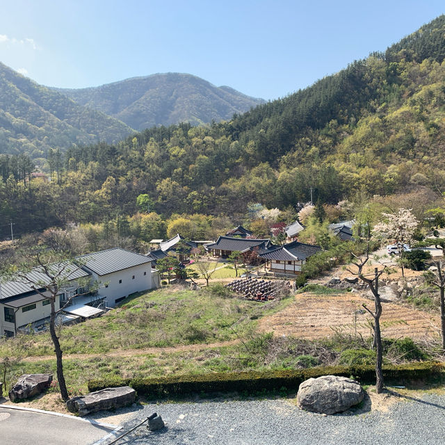 포토스팟 많은 아원고택&갤러리