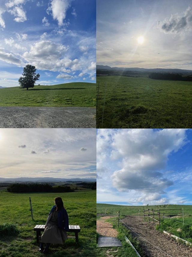 GWにおすすめ🧡美瑛で行きたいスポット3選☺️⁡🐄🌿‬🥛🥣【北海道】