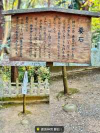 【絶景】神秘的な美しさのパワースポット⛩
